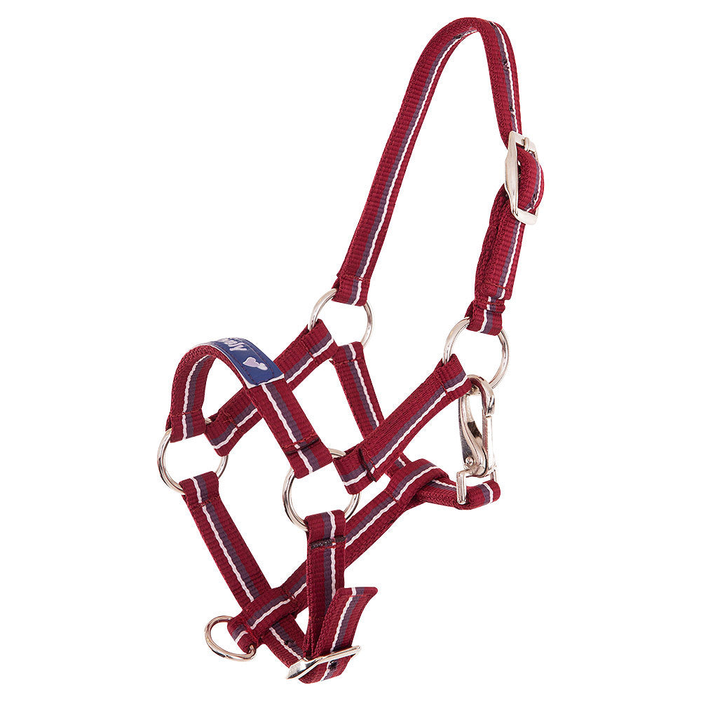 Kantar Premier Fun - Cavalo